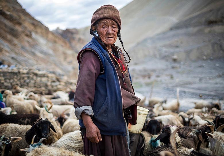Ladakh – The Cold Desert