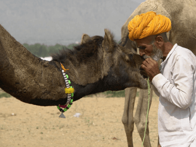 Day 10: Udaipur to Pushkar