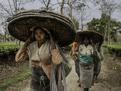 Day 13: Sivasagar to Dibrugarh
