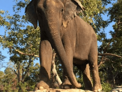 Day 16: Khajuraho to Bandhavgarh National Park