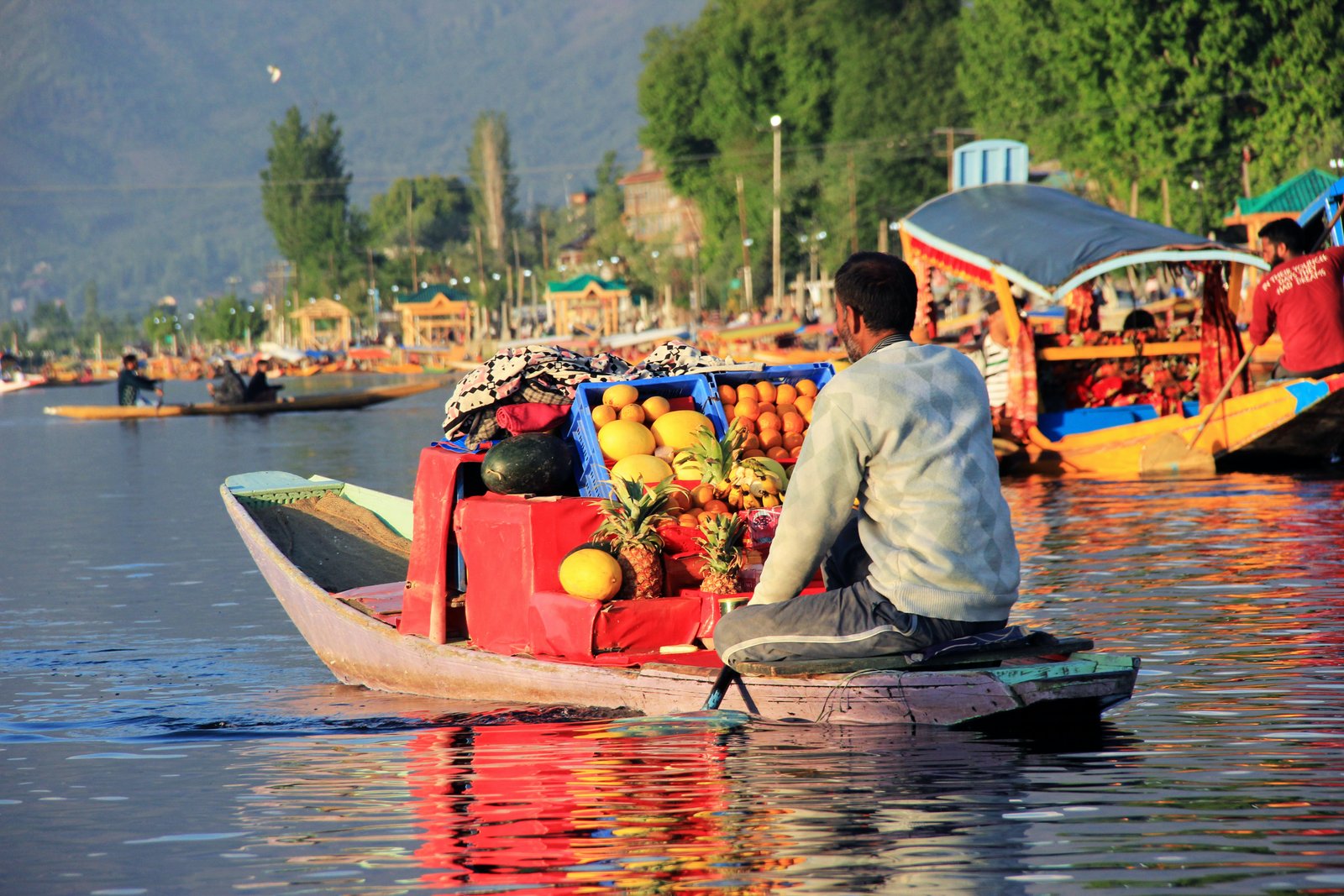 Day 3: Delhi to Srinagar