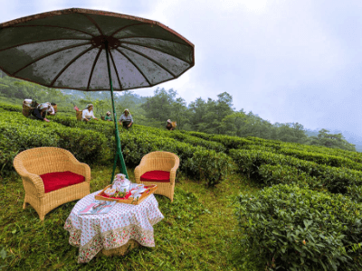 Day 3: Kolkata to Darjeeling