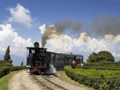 Day 4: Darjeeling