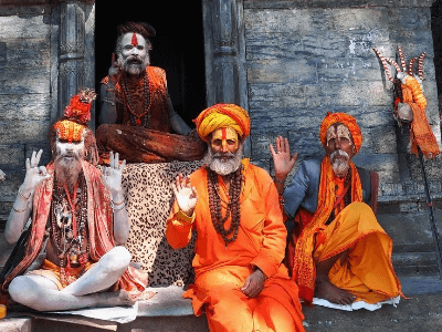 Day 5: Mysore to Mudumalai to Ooty
