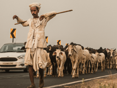 Day 6: Agra to Ranthambore