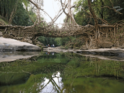 Day 7: Shillong to Mawlynong to Shillong