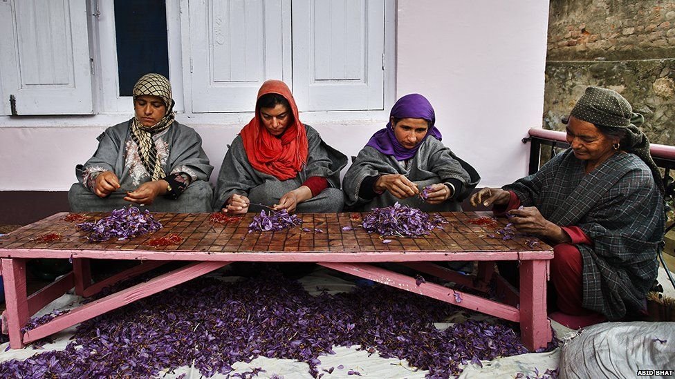 Day 9: Pahalgam to Srinagar to Delhi