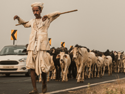 Day 3: Delhi to Jaipur