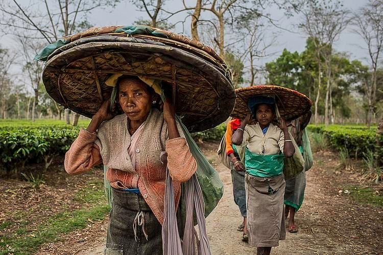 North East India